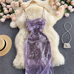 Dakota Sequin Dress - Label Frenesi Fashion