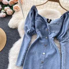 Philip Denim Dress - Label Frenesi Fashion