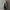 Bora Korean Trench Coats