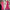 Bougainvillea Bloom Gown Dress