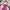 Rosé Rush Ruffle Dress – Pink Watercolor Maxi