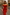 Roseline tube Dress