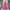 Pink Bloom Dress