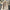 Clara Coat & Dress Set - Label Frenesi Fashion