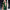 Ellen Green Swimwear - Label Frenesi Fashion