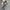Gracie Abstract Coord Set - Label Frenesi Fashion
