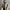 Gracy Fur Coat - Label Frenesi Fashion