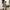 Gracy Fur Coat - Label Frenesi Fashion