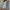 Jane Striped Linen Co-ord Sets - Label Frenesi Fashion