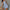 Jane Striped Linen Co-ord Sets - Label Frenesi Fashion