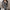 Jenee Dress & Coat Set - Label Frenesi Fashion
