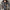 Jenee Dress & Coat Set - Label Frenesi Fashion