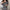 Jenee Dress & Coat Set - Label Frenesi Fashion