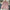 Jules Skirt & Top Set - Label Frenesi Fashion