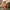 Kesha Swimsuit Set - Label Frenesi Fashion