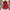 Khyla Leather Coats - Label Frenesi Fashion