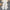 Kyle Wide Leg Flared Pants - Label Frenesi Fashion