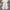 Kyle Wide Leg Flared Pants - Label Frenesi Fashion