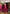 Lilian Pink Coord Sets - Label Frenesi Fashion