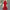 Lola Sequin Dress - Label Frenesi Fashion