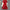 Lola Sequin Dress - Label Frenesi Fashion