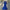 Mallory Sequin Dress - Label Frenesi Fashion