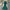 Mallory Sequin Dress - Label Frenesi Fashion