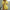 Marisa Waist Cut Dress - Label Frenesi Fashion