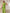 Monet Tailored Blazer & Pants Set - Label Frenesi Fashion