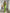 Monet Tailored Blazer & Pants Set - Label Frenesi Fashion