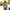 Peony Swimwear - Label Frenesi Fashion