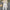 Riley White Jumpsuit - Label Frenesi Fashion