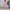 Sophia Co-ord Sets - Label Frenesi Fashion