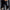 Black High Boots - Label Frenesi Fashion