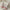 Blanca Crochet Sets - Label Frenesi Fashion