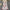 Blossom Slit Maxi Dress - Label Frenesi Fashion