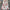 Blossom Slit Maxi Dress - Label Frenesi Fashion