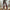 Brown Leather Pants - Label Frenesi Fashion