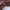 Brown Leather Pants - Label Frenesi Fashion