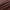 Brown Leather Pants - Label Frenesi Fashion
