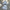 Carline Co-ord Set - Label Frenesi Fashion
