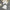 Carline Co-ord Set - Label Frenesi Fashion