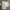 Carrie Woollen Winter Co-ord Sets - Label Frenesi Fashion