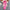 Claire Denim Set - Label Frenesi Fashion