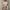 Crochet Top - Label Frenesi Fashion