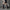 Donna Thigh High Boots - Label Frenesi Fashion
