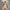 Ellen Maxi Dress - Label Frenesi Fashion