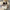 Embellished Knit Brallete - Label Frenesi Fashion