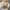 Embellished Knit Brallete - Label Frenesi Fashion