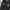Embellished Velour Trench Coat - Label Frenesi Fashion